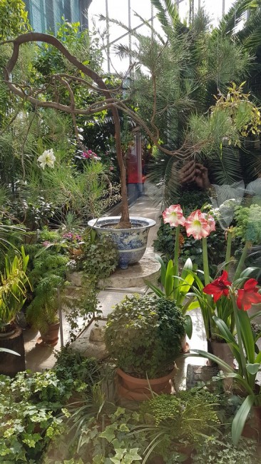 20180616_164259.aQaqv.jpg