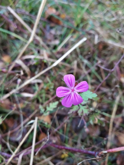 30.11.2019.jpg