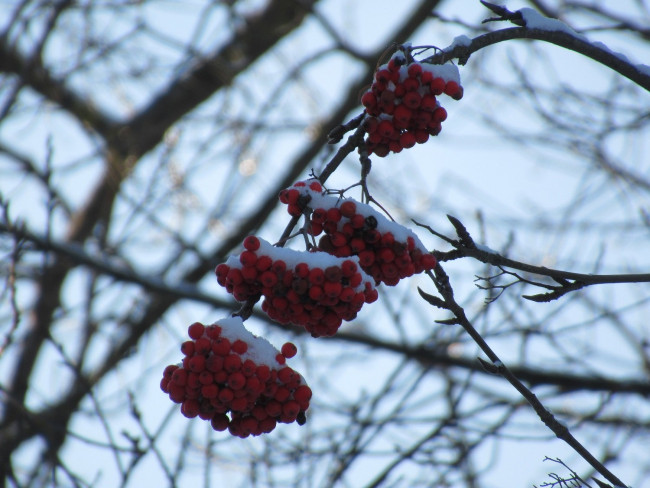 IMG_6019_11.jpg