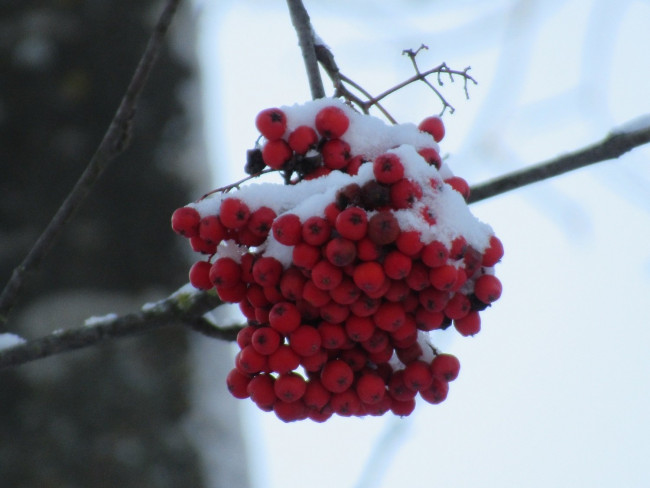 IMG_6022_14.jpg
