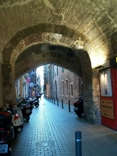 101_8894.JPG