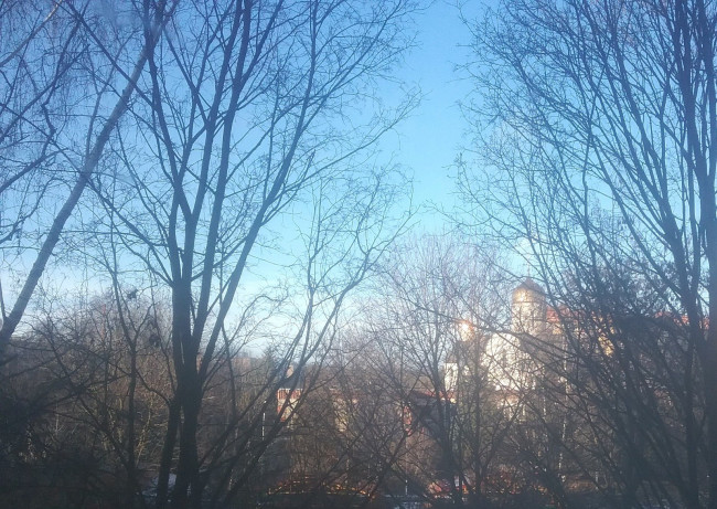 20200118_132000 (1).jpg