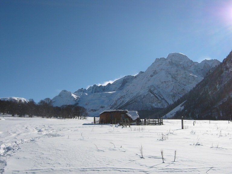 w_47523821.jpg