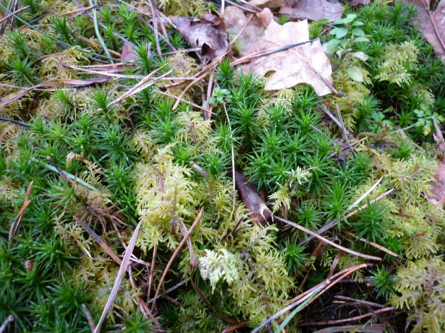 P1310097+.jpg