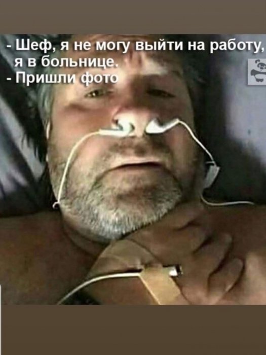 аллё, шеф.jpg