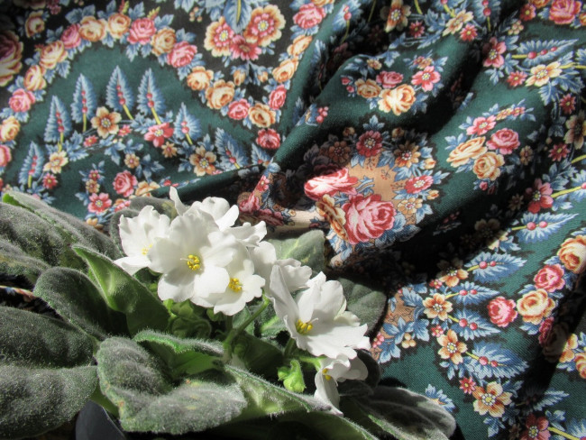 IMG_6531_5.jpg