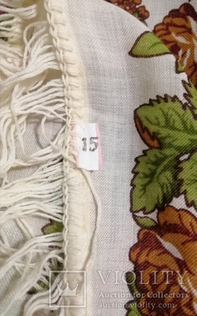 95974556.jpg