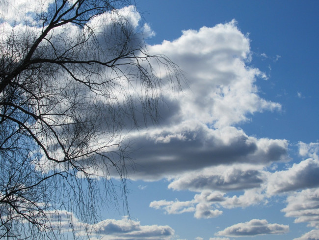 IMG_6550_1.jpg