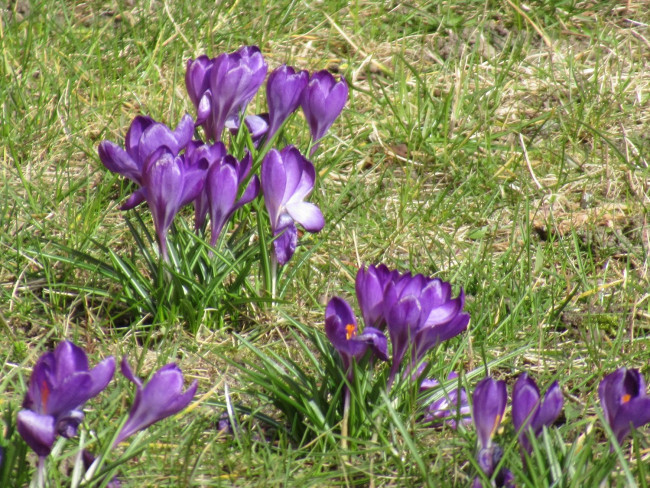IMG_6581_1.jpg