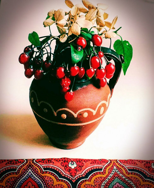 Фергана 5, вискоза, Т.Сухаревская