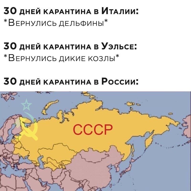 e8P6XGh-u0o.jpg