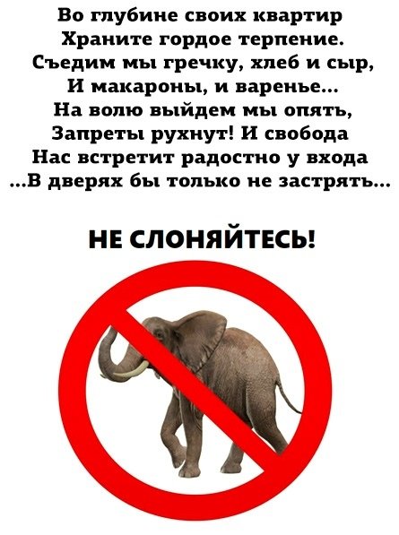 djUXh1D2HkM.jpg