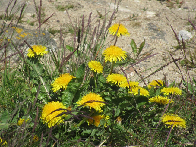 IMG_8427_2.jpg