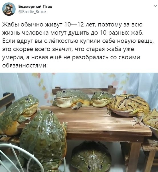 z8mBdAJdUaM.jpg
