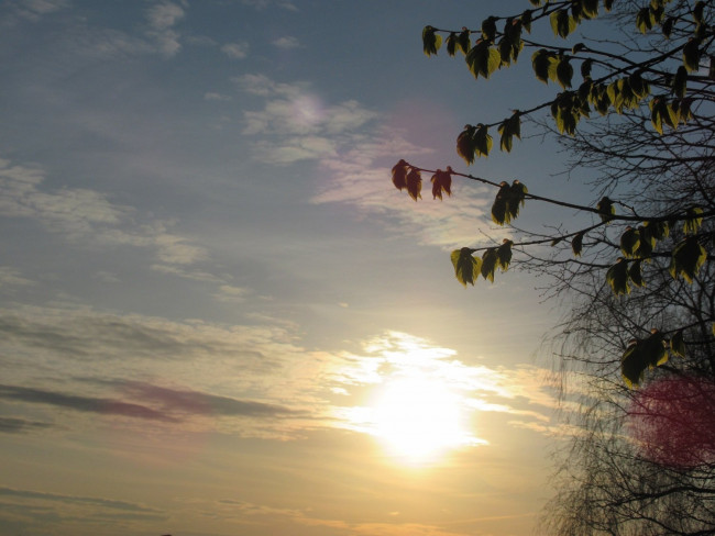 IMG_8243_3.jpg