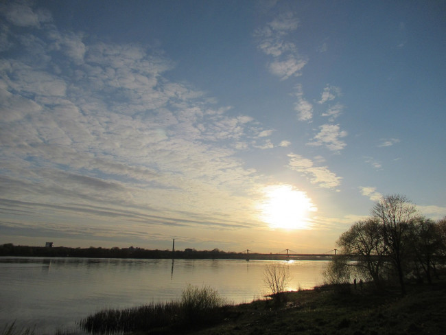 IMG_8210_2.jpg