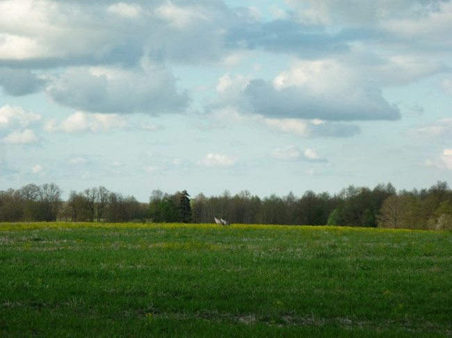 P1320042+.jpg
