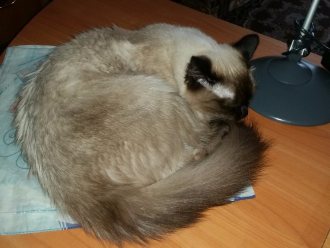 20190324_174915.jpg