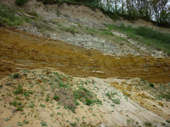 P1320197+.jpg