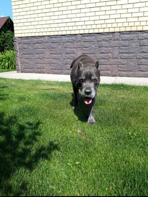 20200711_175406.jpg