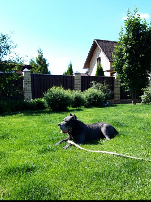 20200714_195950.jpg