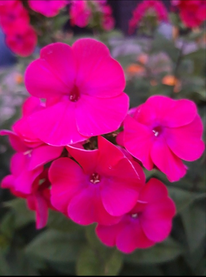 20200730_153312.jpg