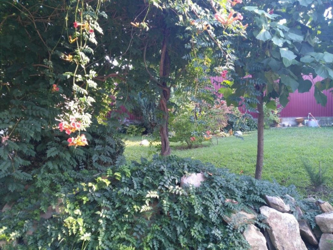 IMG_20200824_164446.jpg