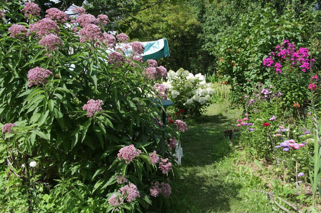 IMG_6133_1.jpg