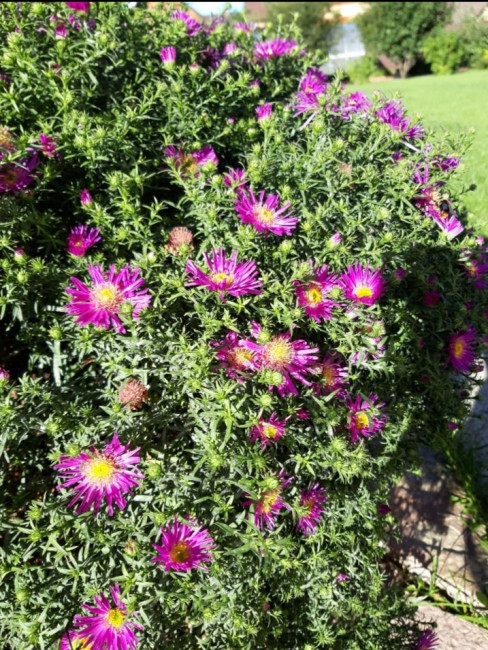 20200903_185823.jpg