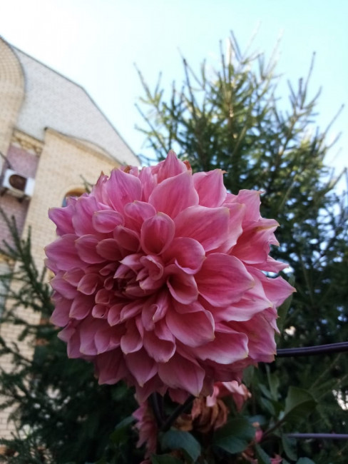 7c5a4814-ff48-46bf-ac66-9456290c6ae7.jpg