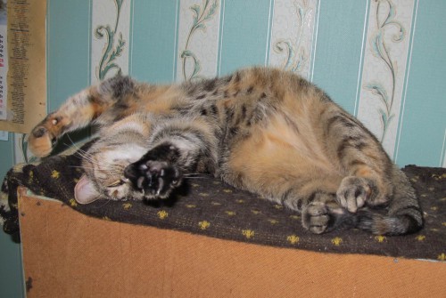 Resize of IMG_0409.JPG