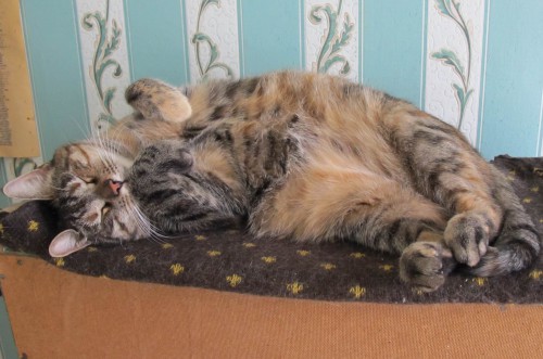 Resize of IMG_0413.JPG