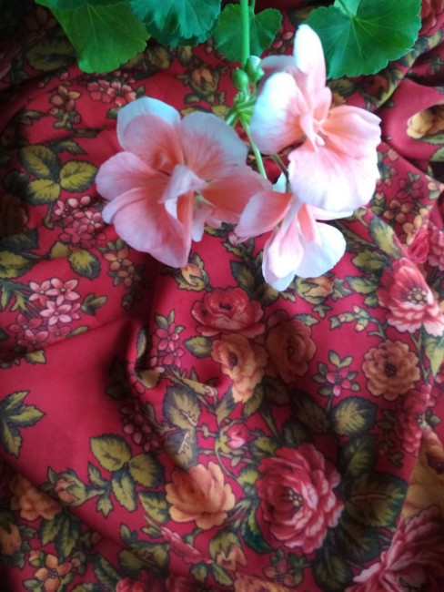 IMG_20200916_213818_215.jpg