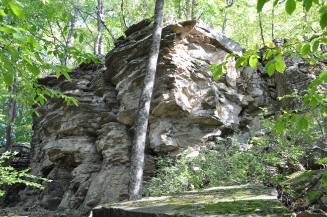 DSC_7332.JPG