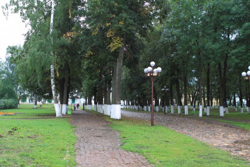 19.jpg
