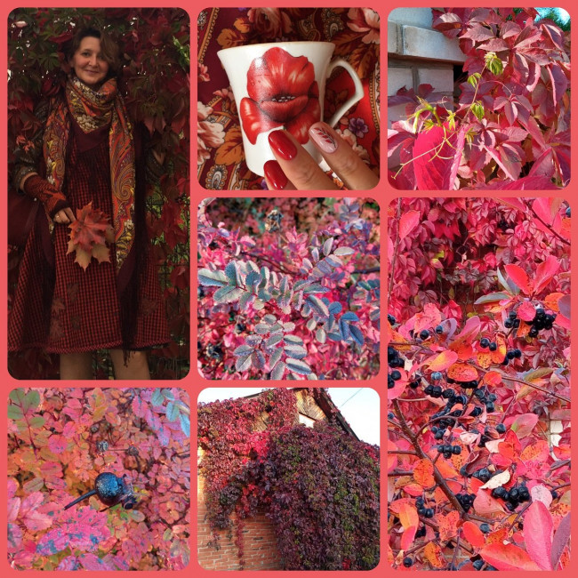 CollageMaker_20201002_200515804.jpg