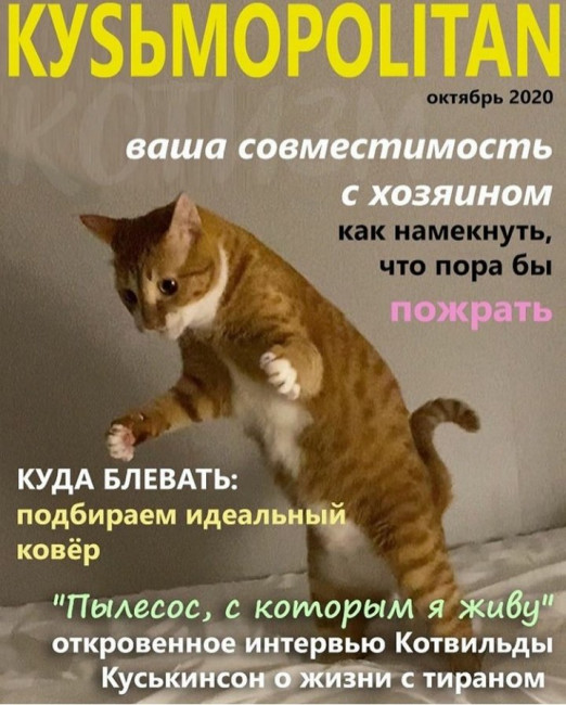 20201027_155405.jpg