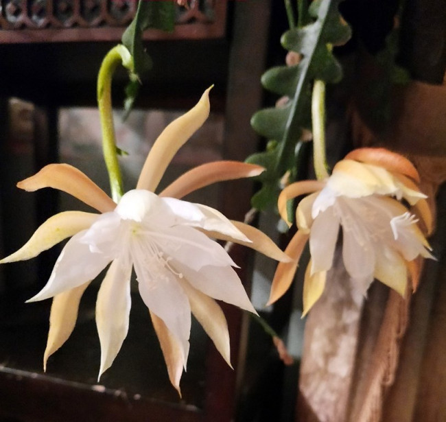 20201031_211052_art.jpg