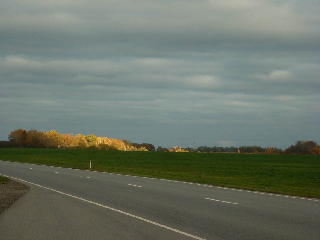 P1320544+.jpg
