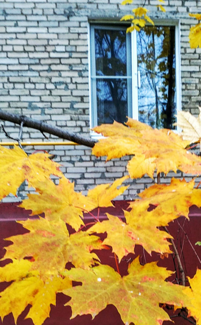 IMG_20201031_131414.jpg
