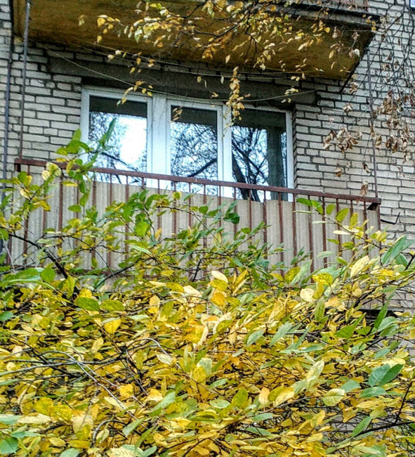 IMG_20201103_134636.jpg