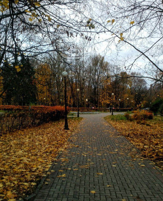 IMG_20201105_161646.jpg