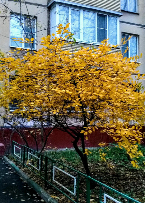 IMG_20201105_164434.jpg