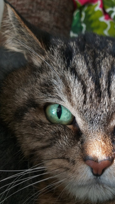 Screenshot_20201108-154427_Gallery.jpg