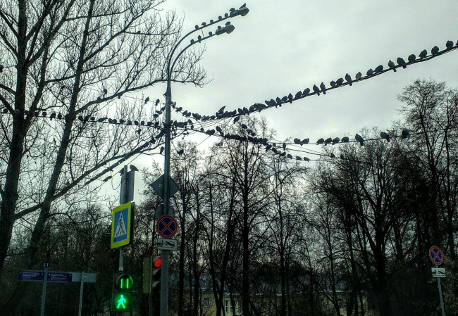 IMG_20201126_122556.jpg
