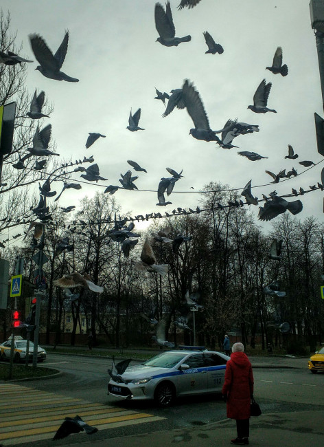 IMG_20201126_122431.jpg