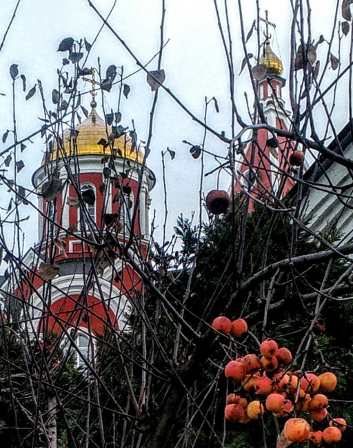 IMG_20201126_122849.jpg