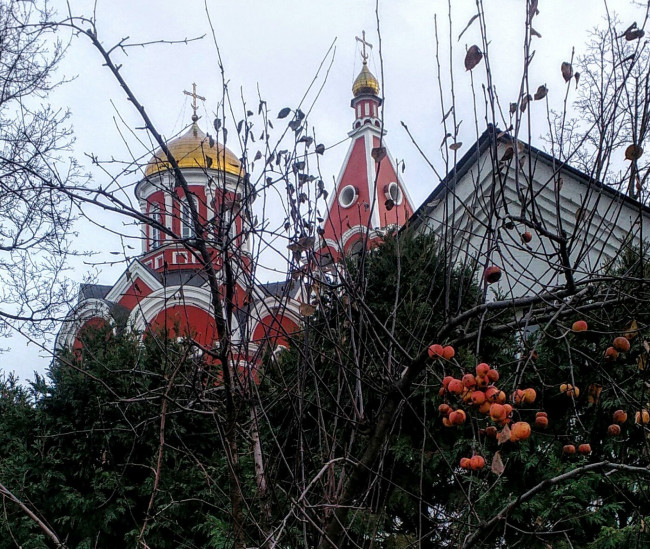 IMG_20201126_123032.jpg