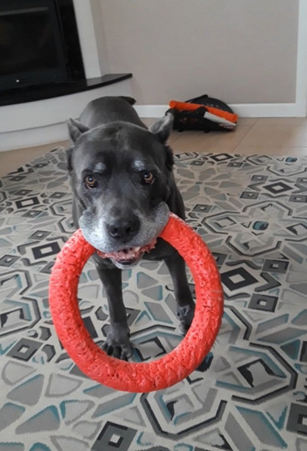 20201218_154629.jpg
