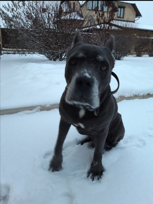 20201218_165853.jpg